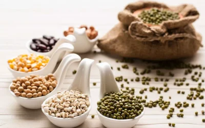 Foods – other than meat – that are rich in protein